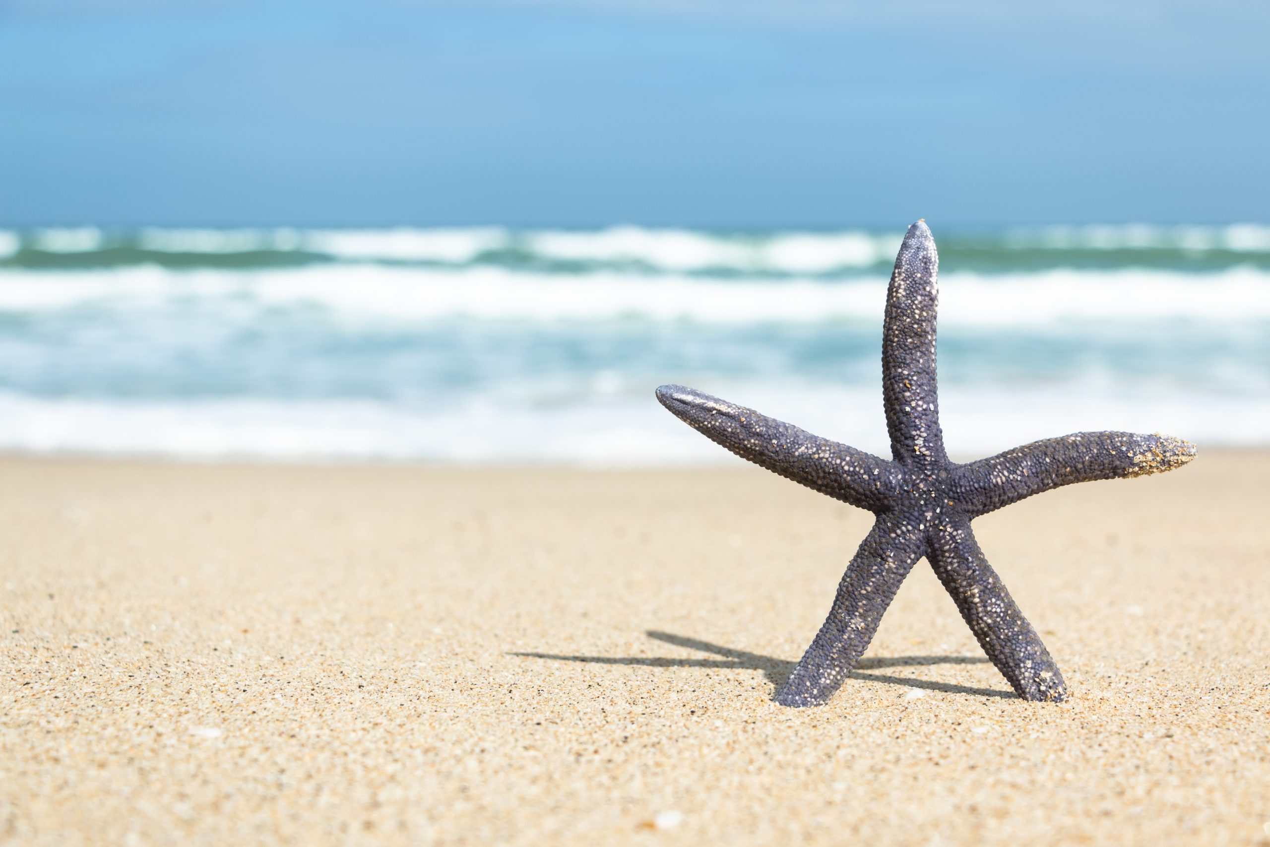 人生罗盘：一场穿透人生的思考